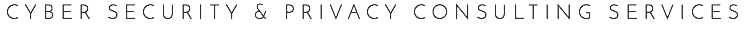 CYBER SECURITY & PRIVACY CONSULTING SERVICES